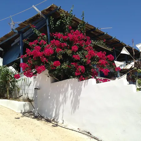Ideal House