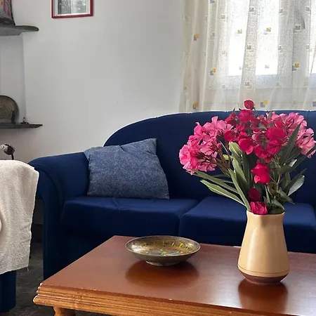 Tatil Evi Ideal House *