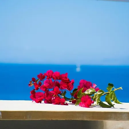 Ideal House Ferienhaus *