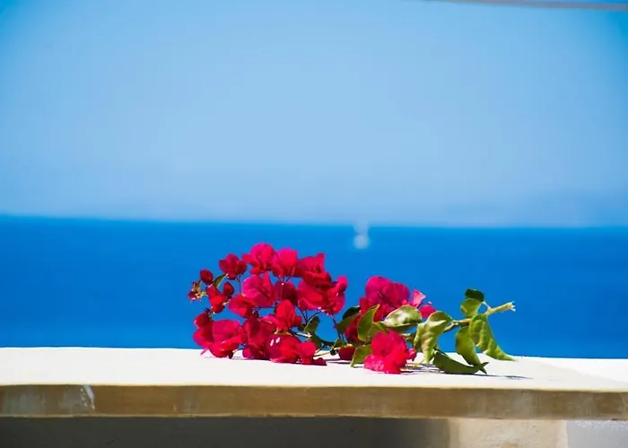 Ideal House Vakantiehuis *